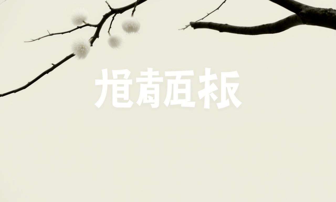曼聯未來五場比賽日程表